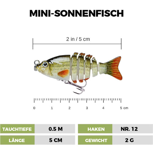 🎣 2
